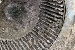 75369214_2770516346328343_3613240326950486016_n