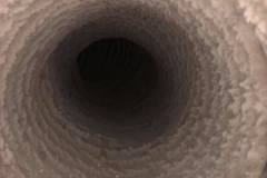93482180_3139628819417092_3450131986037866496_n